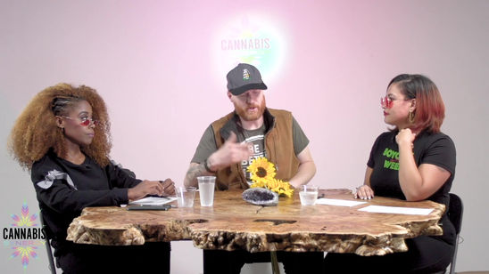 Cannabis Synergy EP. 1 Colin Wells